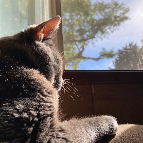 Meet your Posher - Picture 1 of 1